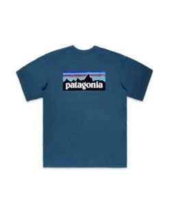 PatagoniaCamiseta Responsibili-tee - Wavy Blue