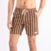 Banks JournalNatural Selection Boardshort - Terracotta