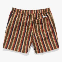 Banks JournalNatural Selection Boardshort - Terracotta -Men Outfitters Shop Natural Selection Boardshort in Terracotta 20220306221612 4