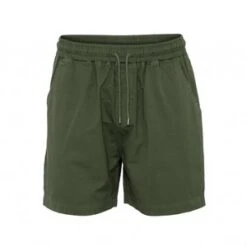 Colorful StandardORGANIC TWILL SHORTS - SEAWEED GREEN