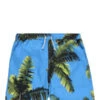 Blue Sky InnPalm Tree Print Swim Trunks - Sky Blue/Multicolor