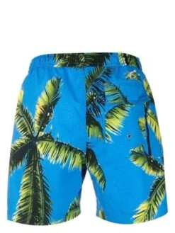 Blue Sky InnPalm Tree Print Swim Trunks - Sky Blue/Multicolor -Men Outfitters Shop Palm Tree Print Swim Trunks 20230525013746 1