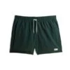Bathersolid Swim Trunk - Pine